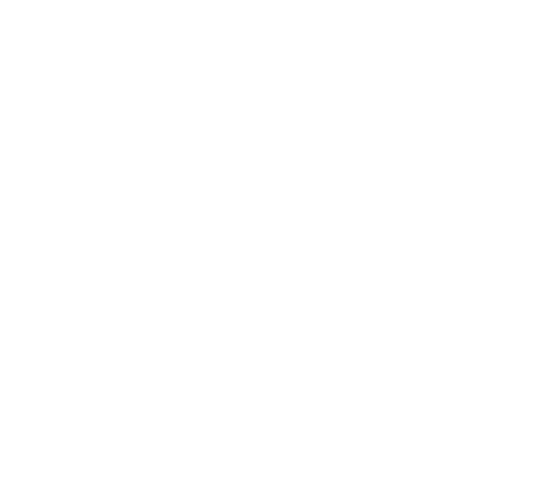 logo-integrity-vallarta-real-estate